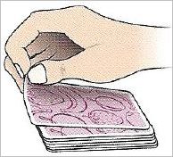 How to play Halli Galli Junior Official Rules UltraFoodMess