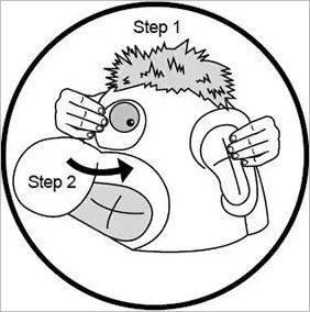 How to play What s in Ned s Head Official Rules UltraFoodMess