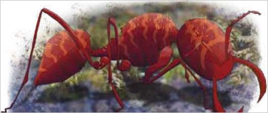 March of the Ants Advanced Variant Primitive Species UltraFoodMess