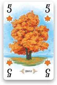 Arboretum Board Game: A Strategic Garden-Themed Card Game
