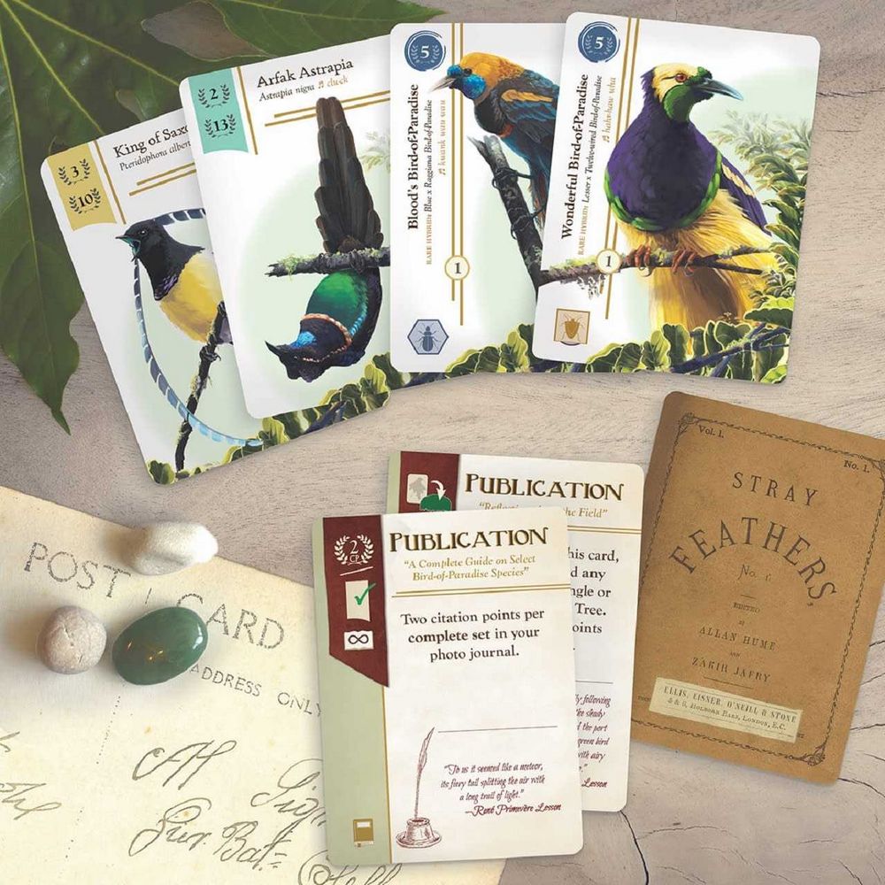 Birdwatcher Board Game: A Tabletop Adventure for Nature Enthusiasts