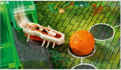 How to play Buggaloop Official Game Rules UltraFoodMess