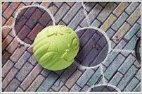 How to play Buggaloop Official Game Rules UltraFoodMess