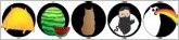 How to play Exploding Kittens Official Rules UltraFoodMess
