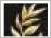 How to play Fight for Olympus Official Game Rules UltraFoodMess