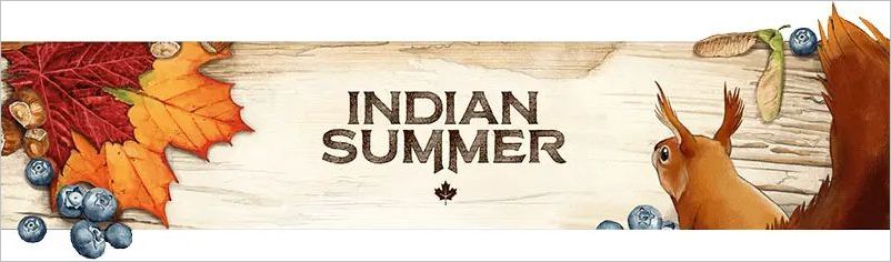 How to play Indian Summer solo Game Rules UltraFoodMess