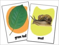 How to play Pickles to Penguins Official Rules UltraFoodMess