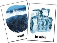 How to play Pickles to Penguins Official Rules UltraFoodMess