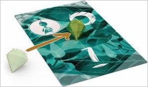 How to play Spirits of the Forest Official Rules UltraFoodMess