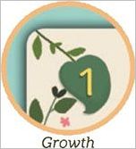 How to play The Tea Dragon Society Card Game Official Rules UltraFoodMess