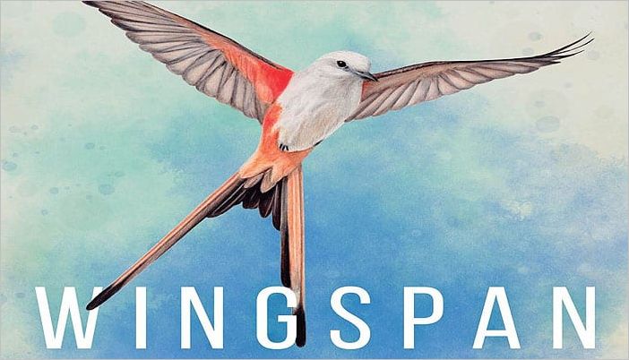 How to play Wingspan Official Rules UltraFoodMess