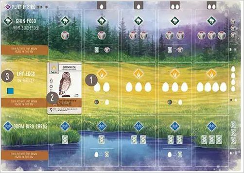 How to play Wingspan Official Rules UltraFoodMess